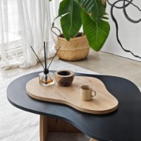 Журнальный столик Hanah Home Melted Black Sapphire Oak фото №6 — интернет-магазин Desire.md