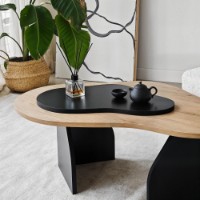 Журнальный столик Hanah Home Melted Sapphire Oak Black фото №6 — интернет-магазин Desire.md