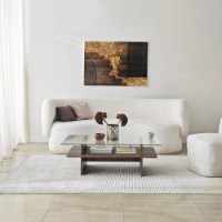 Журнальный столик Hanah Home Saga Rectangle Walnut Transparent фото №2 — интернет-магазин Desire.md