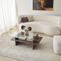 Журнальный столик Hanah Home Saga Rectangle Walnut Transparent фото №3 — интернет-магазин Desire.md