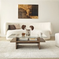 Журнальный столик Hanah Home Saga Rectangle Walnut Transparent фото №5 — интернет-магазин Desire.md