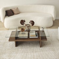 Журнальный столик Hanah Home Saga Rectangle Walnut Transparent фото №6 — интернет-магазин Desire.md