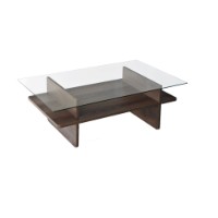 Журнальный столик Hanah Home Saga Rectangle Walnut Transparent фото №10 — интернет-магазин Desire.md