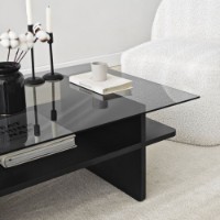 Журнальный столик Hanah Home Saga Rectangle Black Fume фото №8 — интернет-магазин Desire.md