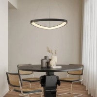 Люстра Flitz Leuchten Nova FL6593-D51P фото №2 — интернет-магазин Desire.md