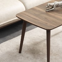 Журнальный столик Hanah Home Luci Walnut фото №2 — интернет-магазин Desire.md