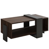 Журнальный столик Hanah Home Meleni Walnut Anthracite фото №4 — интернет-магазин Desire.md
