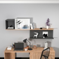 Настенная полка Hanah Home Akser Atlantic Pine Anthracite White фото №2 — интернет-магазин Desire.md