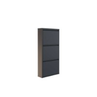 Rafturi pentru pantofi Hanah Home 3 Piece Metal Anthracite imaginea #9 — magazin online Desire.md