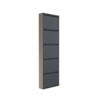 Rafturi pentru pantofi Hanah Home 5 Piece Metal Anthracite imaginea #12 — magazin online Desire.md