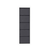 Rafturi pentru pantofi Hanah Home 5 Piece Metal Anthracite imaginea #13 — magazin online Desire.md