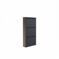 Обувница Hanah Home Locking 3 Piece Metal Anthracite фото №9 — интернет-магазин Desire.md