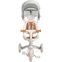 Bicicletă copii Toyz Faro Grey (0361) imaginea #6 — magazin online Desire.md