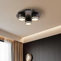 Plafonieră Flitz Leuchten Dotz BK FL6039-3C imaginea #2 — magazin online Desire.md