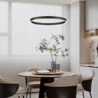 Lustră Flitz Leuchten Helix BK FL6032-1P imaginea #2 — magazin online Desire.md
