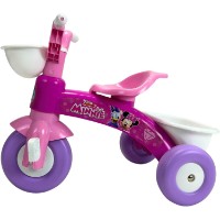 Bicicletă copii Injusa Baby Tricominnie (3531) imaginea #6 — magazin online Desire.md