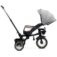 Bicicletă copii Toyz Saber Grey (0365) imaginea #6 — magazin online Desire.md