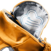 Детский рюкзак Deuter Pico Amber-Maple фото №2 — интернет-магазин Desire.md