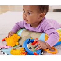 Подушка-игрушка Fisher-Price JHB44 фото №5 — интернет-магазин Desire.md
