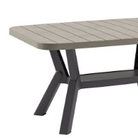 Măsuţă cafea Hanah Home Silva Anthracite Mink imaginea #2 — magazin online Desire.md