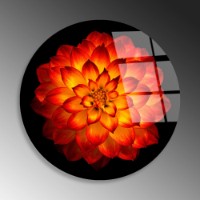 Журнальный столик Hanah Home Shb-033-E фото №5 — интернет-магазин Desire.md