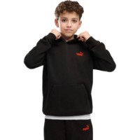 Детская толстовка Puma Ess Logo Lab Brand Back Graphic Puma Black, s.140 фото №4 — интернет-магазин Desire.md
