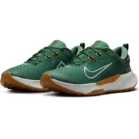 Кроссовки мужские Nike Juniper Trail 2 Gore-Tex Fir/Desert Ochre/Bright Crimson/Light Silver, s.45 фото №1 — интернет-магазин Desire.md