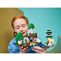 Set de construcție Lego Minecraft: First Night Adventure (21593) imaginea #8 — magazin online Desire.md