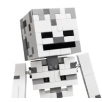 Set de construcție Lego Minecraft: The Skeleton (21594) imaginea #7 — magazin online Desire.md