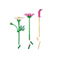Set de construcție Lego Botanicals: Cosmos Flowers (11514) imaginea #5 — magazin online Desire.md