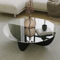 Журнальный столик Hanah Home Lily Black фото №3 — интернет-магазин Desire.md