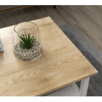 Журнальный столик Hanah Home FRN-20081 фото №2 — интернет-магазин Desire.md
