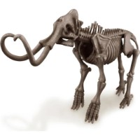 Set de cercetare pentru copii 4M Mammoth (00-03236) imaginea #3 — magazin online Desire.md