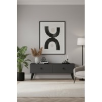 Comodă TV Hanah Home Mona 120 Anthracite imaginea #4 — magazin online Desire.md