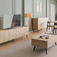 Comodă TV Hanah Home Tvc-740-Ff-1 imaginea #6 — magazin online Desire.md
