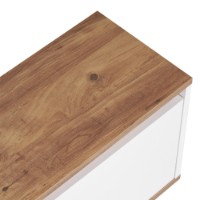 Comodă TV Hanah Home Sentinel Atlantic Pine White imaginea #5 — magazin online Desire.md