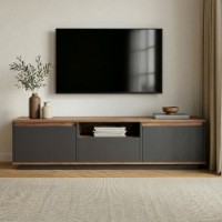 Comodă TV Hanah Home Sentinel Anthracite Atlantic Pine imaginea #2 — magazin online Desire.md