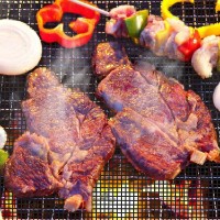 Plasa antiaderenta Char-Broil PIGMPAG33X40 imaginea #2 — magazin online Desire.md