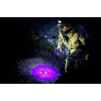 Lanterna Ansmann LED Torch Action 400 UV (1600-0679) imaginea #5 — magazin online Desire.md
