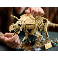 Set de construcție Lego Dinosaur Fossils: Triceratops (77985) imaginea #3 — magazin online Desire.md