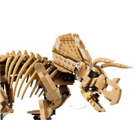 Set de construcție Lego Dinosaur Fossils: Triceratops (77985) imaginea #4 — magazin online Desire.md