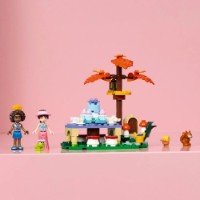 Set de construcție Lego Forest Tea Party (42690) imaginea #8 — magazin online Desire.md