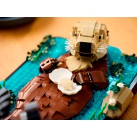 Set de construcție Lego Ideas: Floating Sea Otters (21366) imaginea #2 — magazin online Desire.md