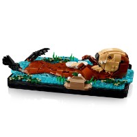 Set de construcție Lego Ideas: Floating Sea Otters (21366) imaginea #5 — magazin online Desire.md