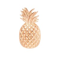 Джибитсы для Crocs Gold Pineapple