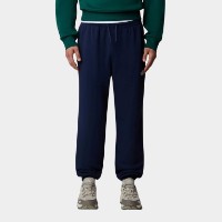 Мужские спортивные штаны The North Face Simple Dome Light Regular Tapered Stone, s.XXL