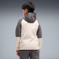Hanorac pentru copii Puma Pumatech Elevated Full Zip Silver Fog, s.176 imaginea #2 — magazin online Desire.md