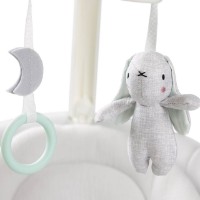Leagăn electric Graco Eluma Sway Rori (1AU999RRIEU) imaginea #6 — magazin online Desire.md