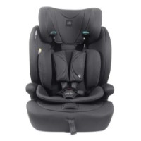 Scaun auto pentru copii Cam Fast I-Size Nero (S183/220) imaginea #2 — magazin online Desire.md