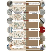 Covor Conceptum Hypnose Woopamuk191 140x220cm imaginea #6 — magazin online Desire.md